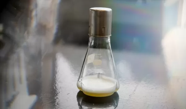 Scientists use a two-step process to create hydrocarbons using glucose and E. coli.