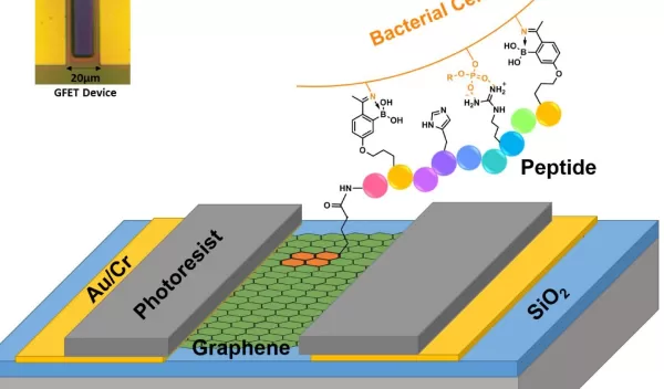 graphene field effect transistor