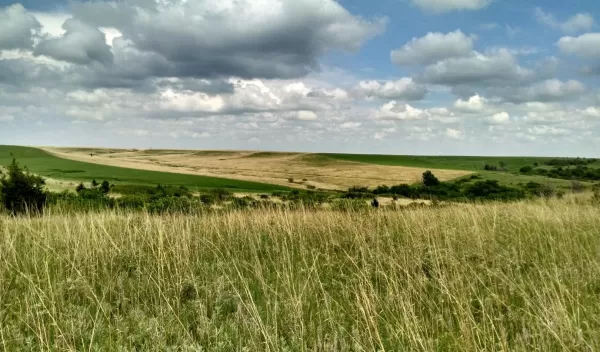 Konza Prairie Biological Station