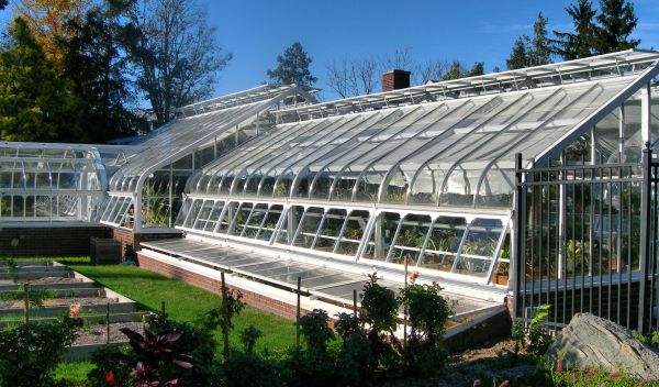 Photo of a greenhouse.