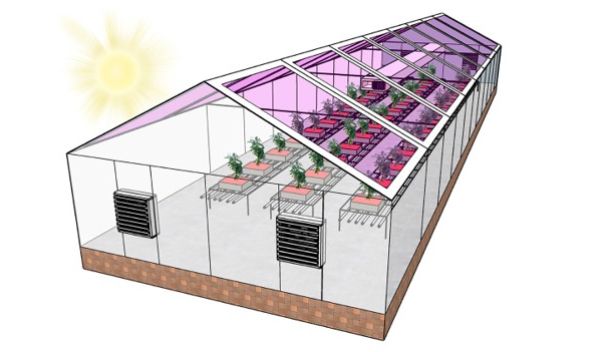 Greenhouse