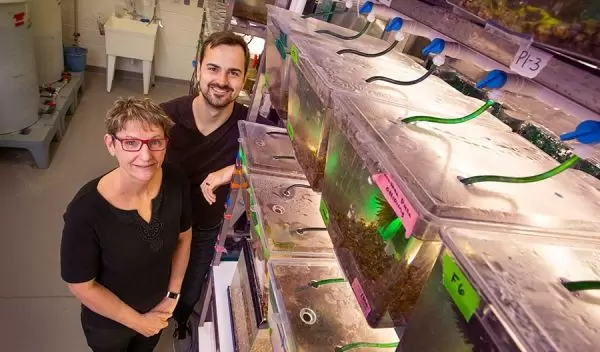 Scientists Kimberly Hughes and Mitchel Daniel