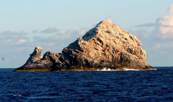 only remnants of PÅ«hÄhonu