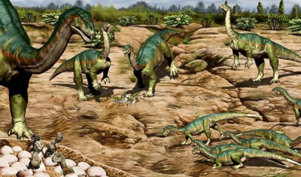 A fossil site in Patagonia shows that some of the earliest dinosaurs lived in herds.