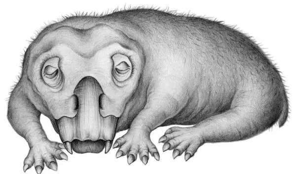 Life restoration of Lystrosaurus