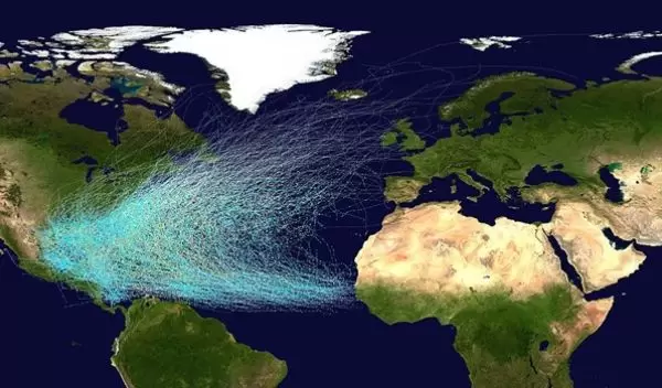 Tracks of Atlantic hurricanes from 1851 to 2019.