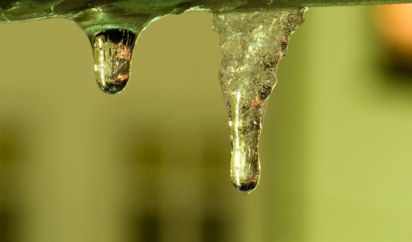 ice