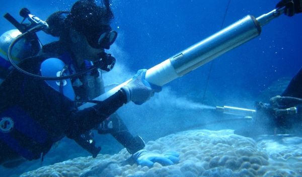 Scientists retrieve a coral core piece during an underwater drilling process.