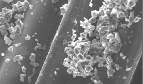 rug fibers as seen through a microscope