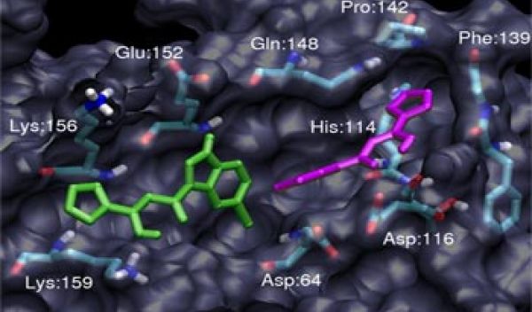 two molecules binding to a larger molecule.