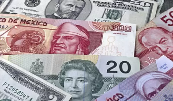 multiple banknotes of U.S. and foreign currency