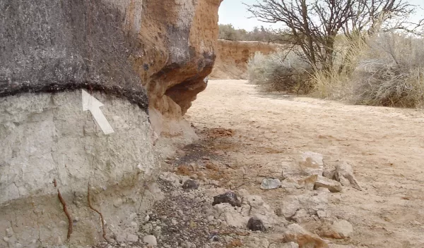 Photo of rock with arrow pointing to "black mat" of algal growth