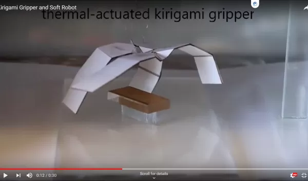 kirigami-inspired techniques