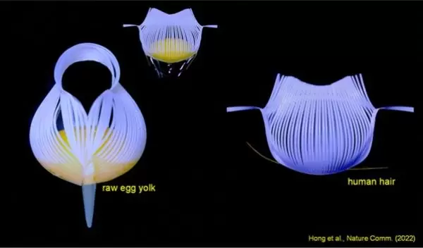 flexible robotic grippers