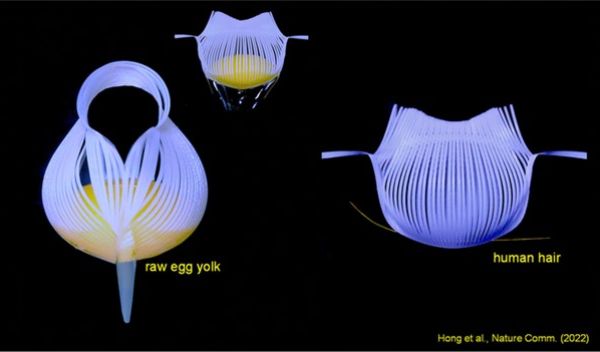 flexible robotic grippers