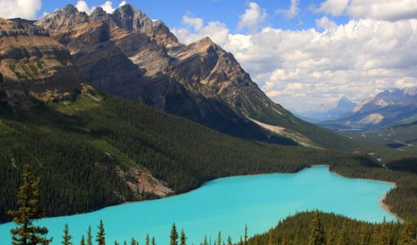view of a cloud-free Peyto Lake