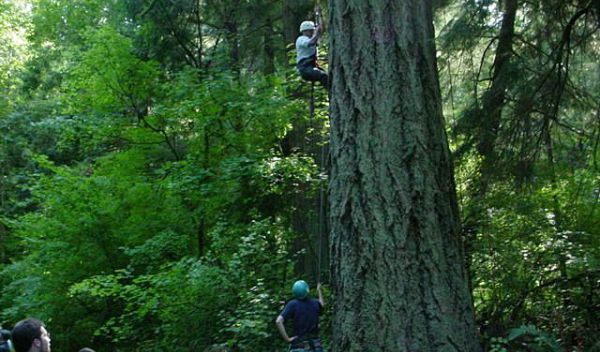 Photo of particpants climbing a tree.
