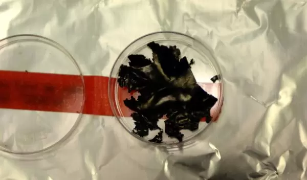 Photo of the MIT battery material.