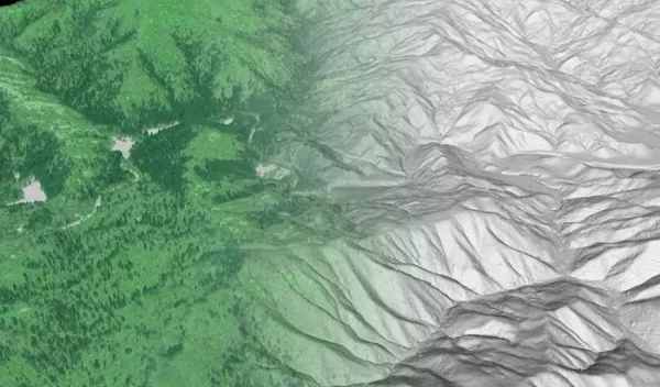 Landscape view with vegetation digitally removed on right; present on left