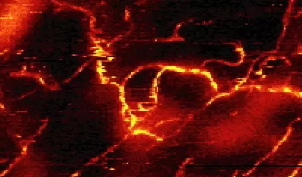 Raman scattering images of carbon nanotubes