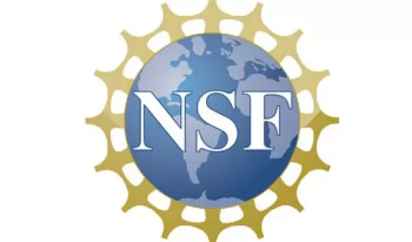 nsf logo