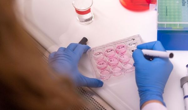 lab testing