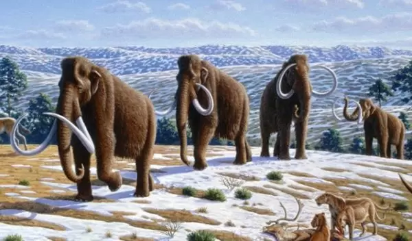 woolly mammoths