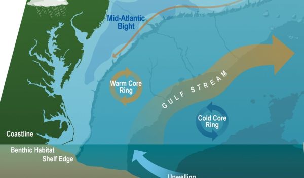 The Mid-Atlantic Bight Shelfbreak Jet