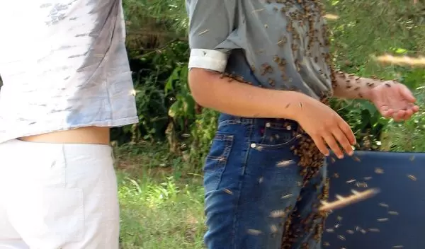 Marla Spivak on the left and Katie Klee on right trying on a bee beard.