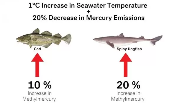 model of mercury emissions