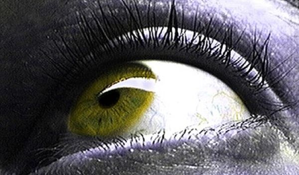 a human eye