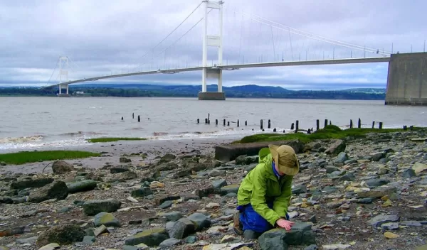 study sampling site on the Severn River