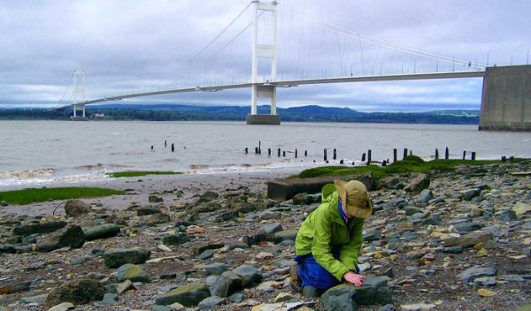 study sampling site on the Severn River