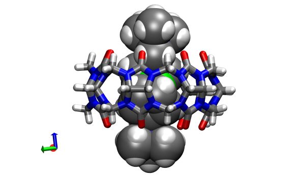 Computer image of the CB[7] Ferrocene molecular container.