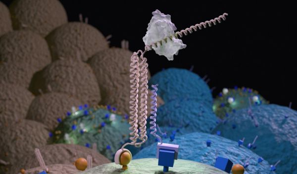 artiist's depiction of a Co-LOCKR nano-device