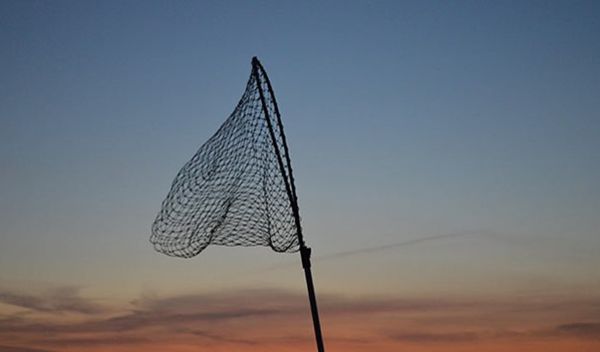 fishing net