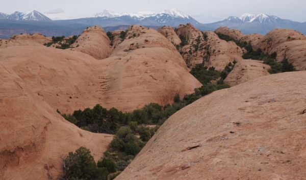 Navajo Sandstone from the Moab, Utah, area