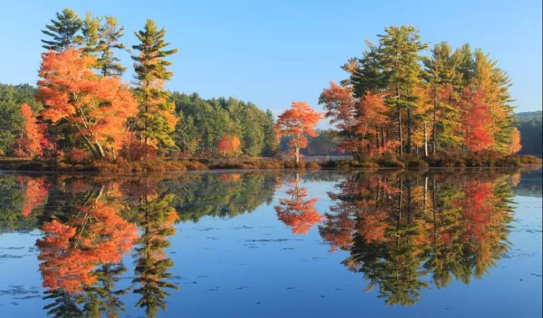 Harvard Pond lies within the Harvard Forest