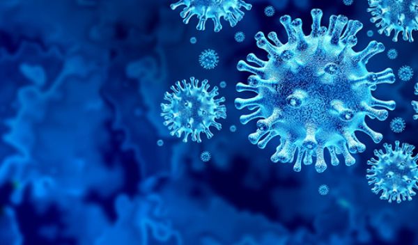 Novel pooled testing strategies can more efficiently identify COVID-19 infections, study finds.
