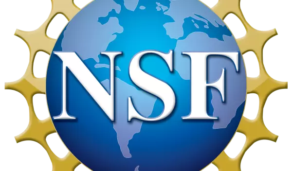 NSF Logo