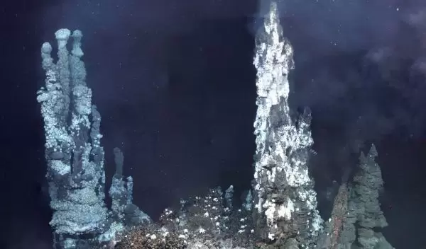 hydrothermal vents