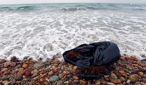 plastic bag near the ocean