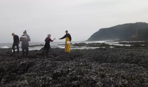 Scientists study the intertidal zone along Oregon shores.