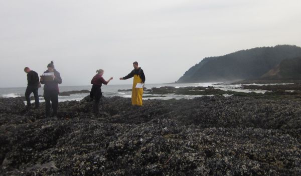 Scientists study the intertidal zone along Oregon shores.