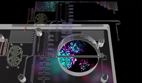 fully integrated, thermoplastic islet-on-a-chip