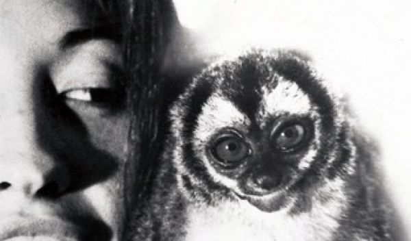 Patricia Wright in 1972 with an owl monkey