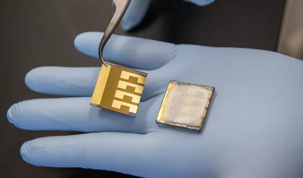 two laboratory solar cell samples