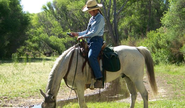 A citizen scientist on horseback collects data along the San Pedro River in Arizona.
