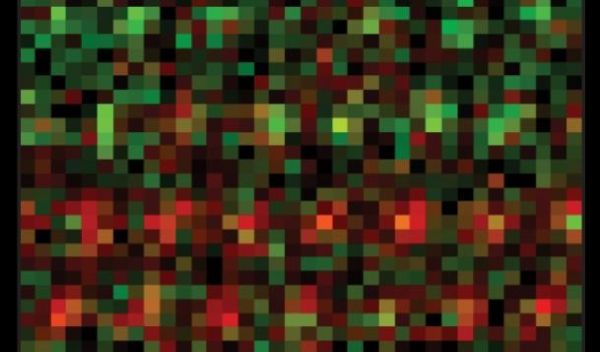 image of the atoms in a new material