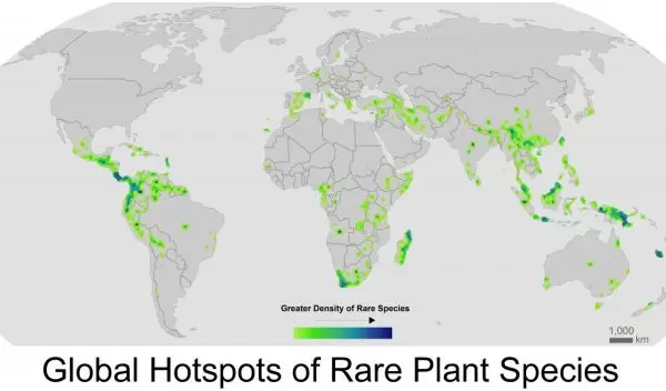 global hotspots of rare plant species